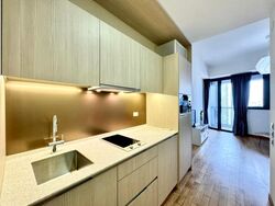 Duo Residences (D7), Apartment #500621371